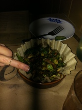 idk there was something wrong with my camera but there's Megan's middle finger and the brussel sprouts 